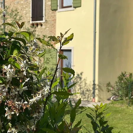Casa Carlotte - Di Garda Apartmán Lazise